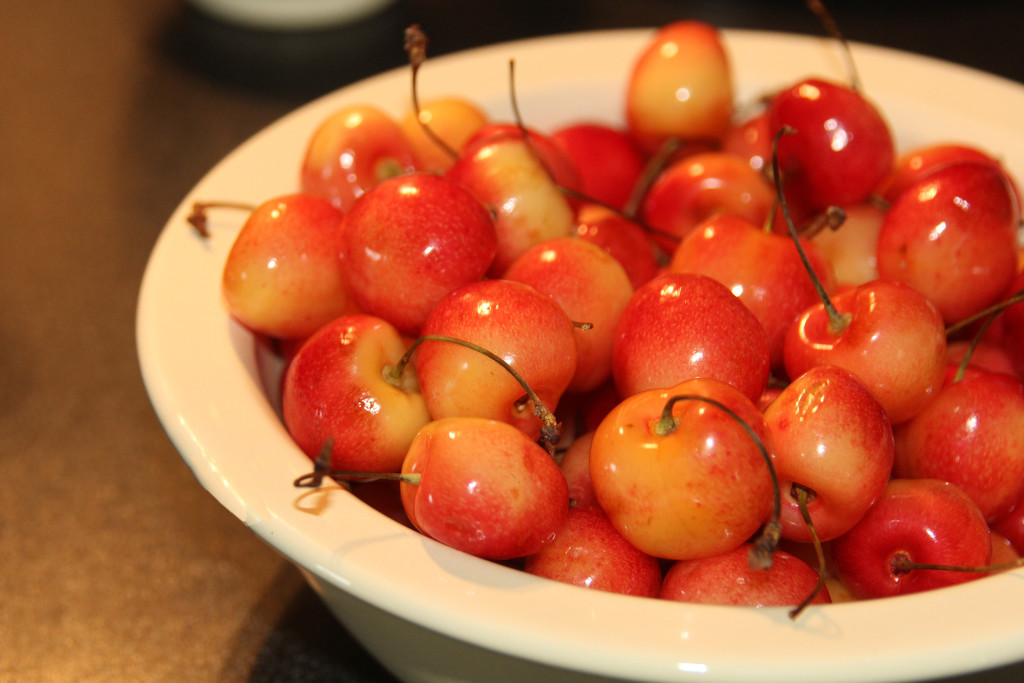 0626_9236 bowl of cherries by pennyrae