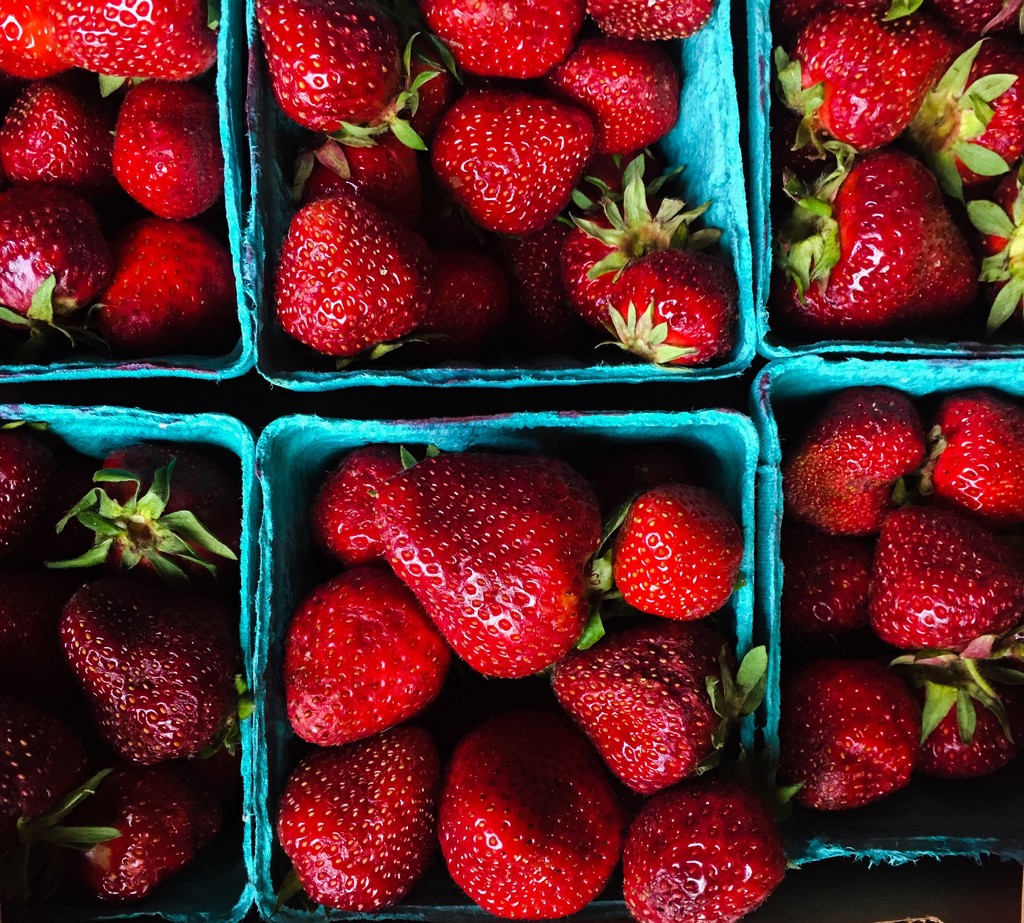 Farm Fresh Strawberries  by clay88