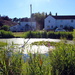 The village pond by jeff