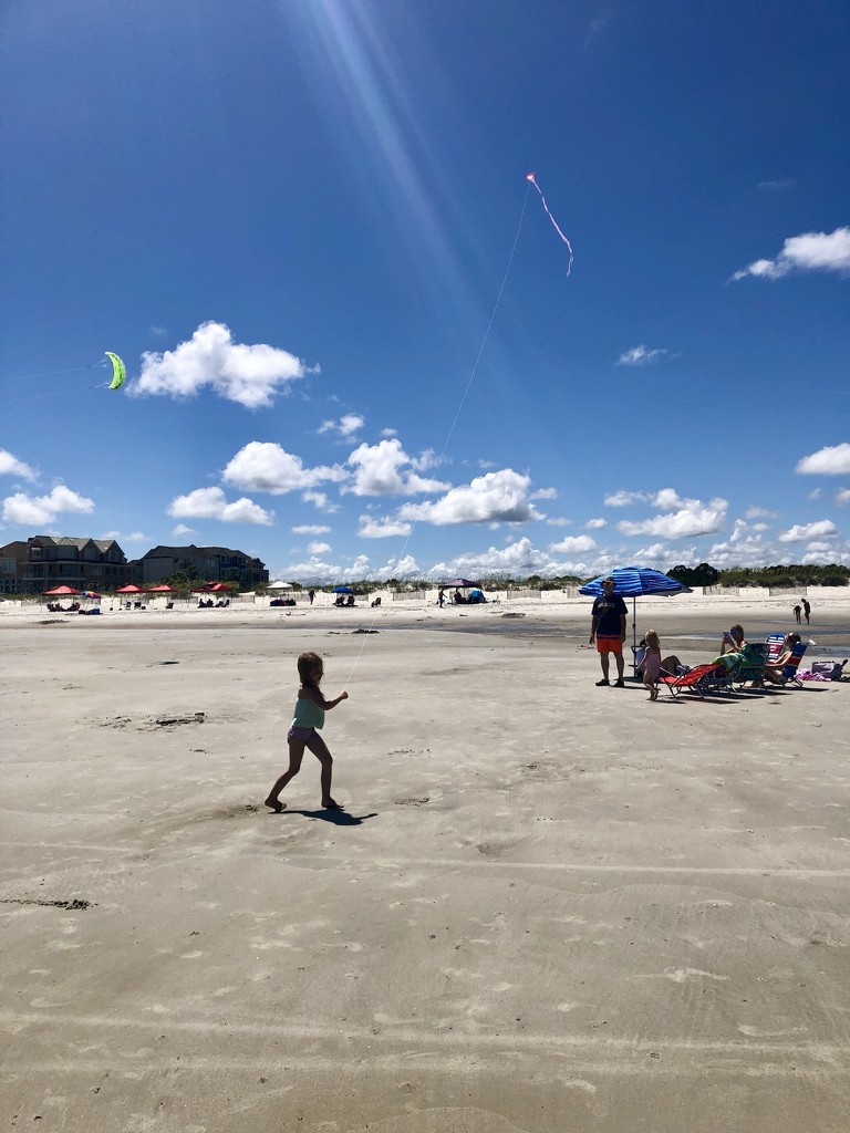 Kite flying by mdoelger