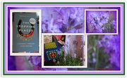 2nd Jul 2018 - Lavender collage.