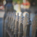 Day 167: Fence posts by jeanniec57