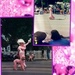 Mono Monday- Pink poodles by pandorasecho