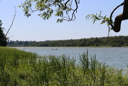 26th Jun 2018 - Lake Tuusulanjärvi