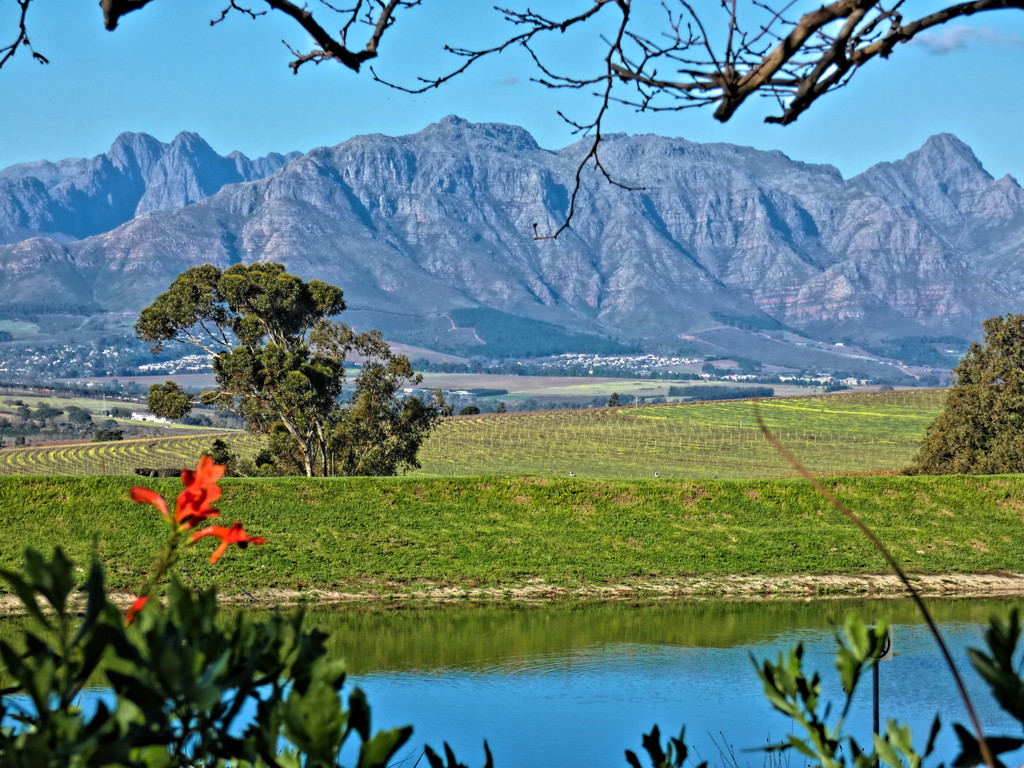 A view of the Stellenboschberg by ludwigsdiana