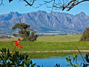 3rd Jul 2018 - A view of the Stellenboschberg