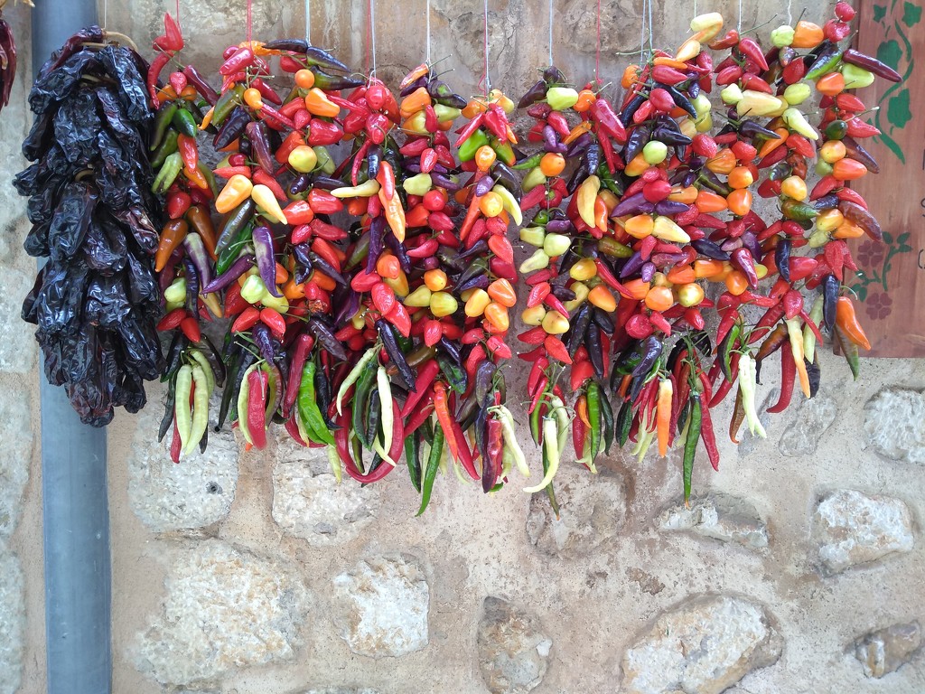 Chillies by clairemharvey