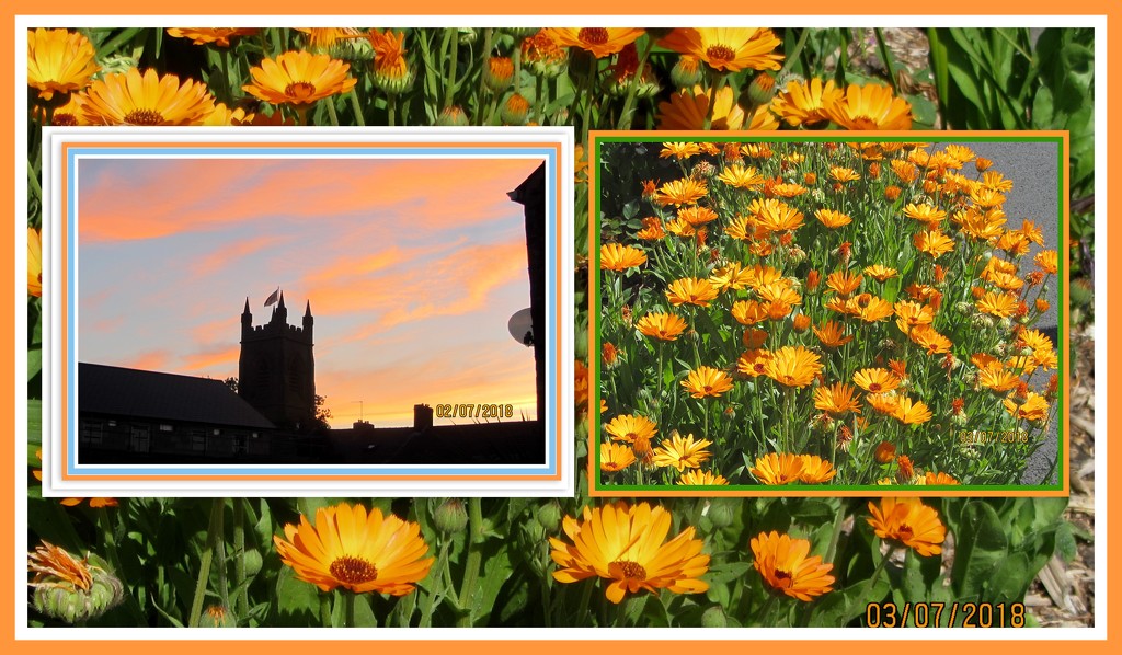 Church and marigolds by grace55