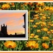 Church and marigolds by grace55