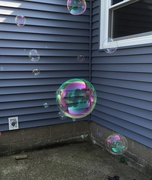 2nd Jul 2018 - blowing bubbles