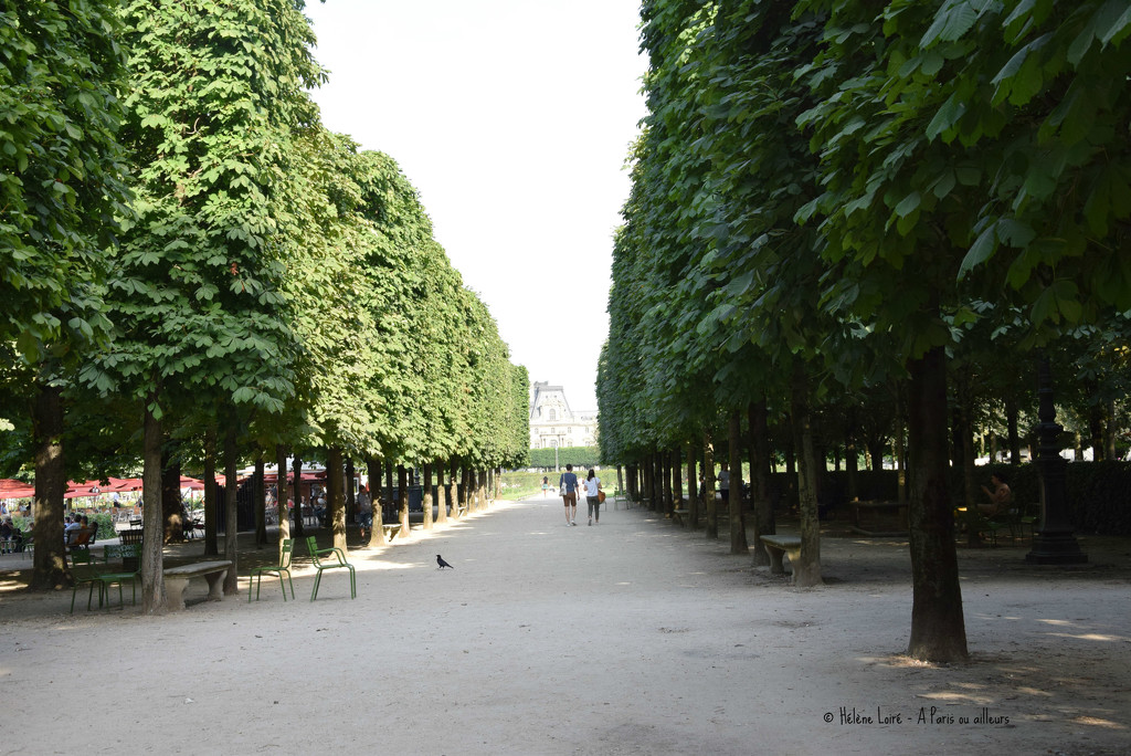 Tuileries garden by parisouailleurs