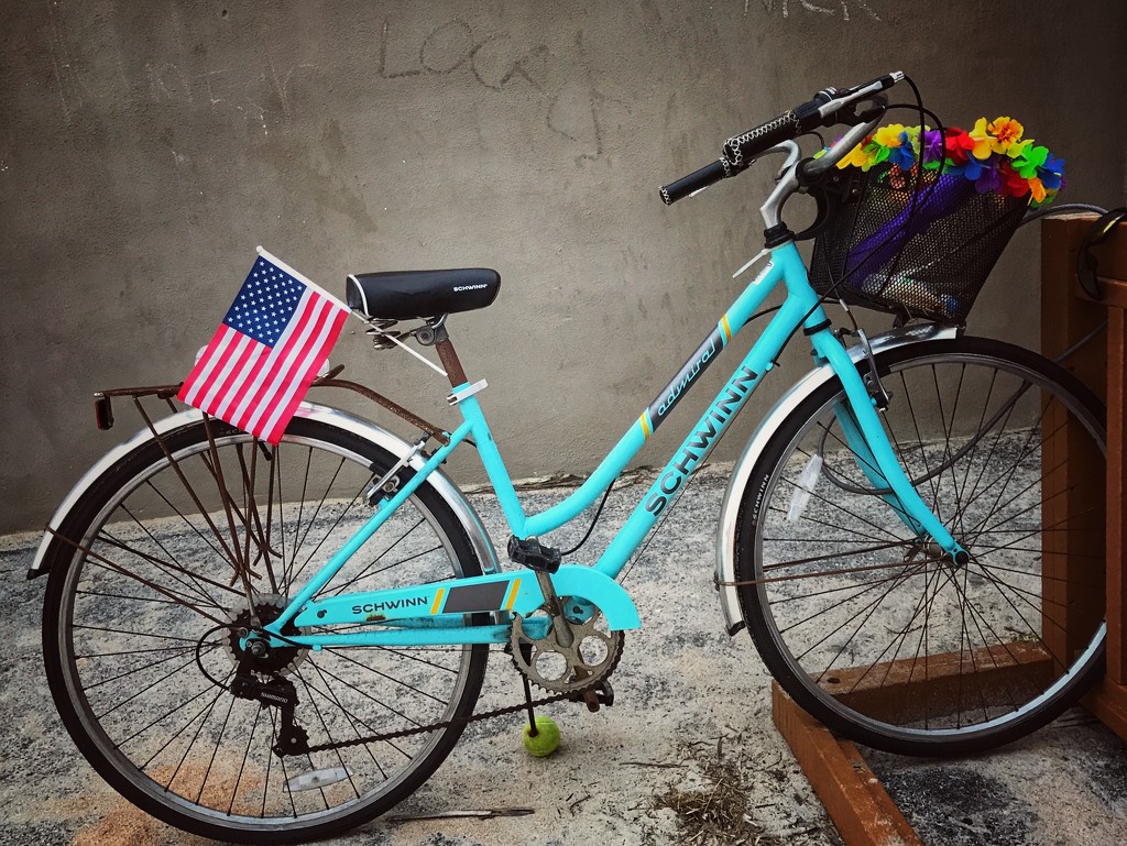 Ride ON,America 🚲 by joemuli