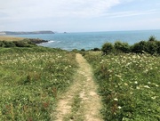 2nd Jul 2018 - Path to the Sea