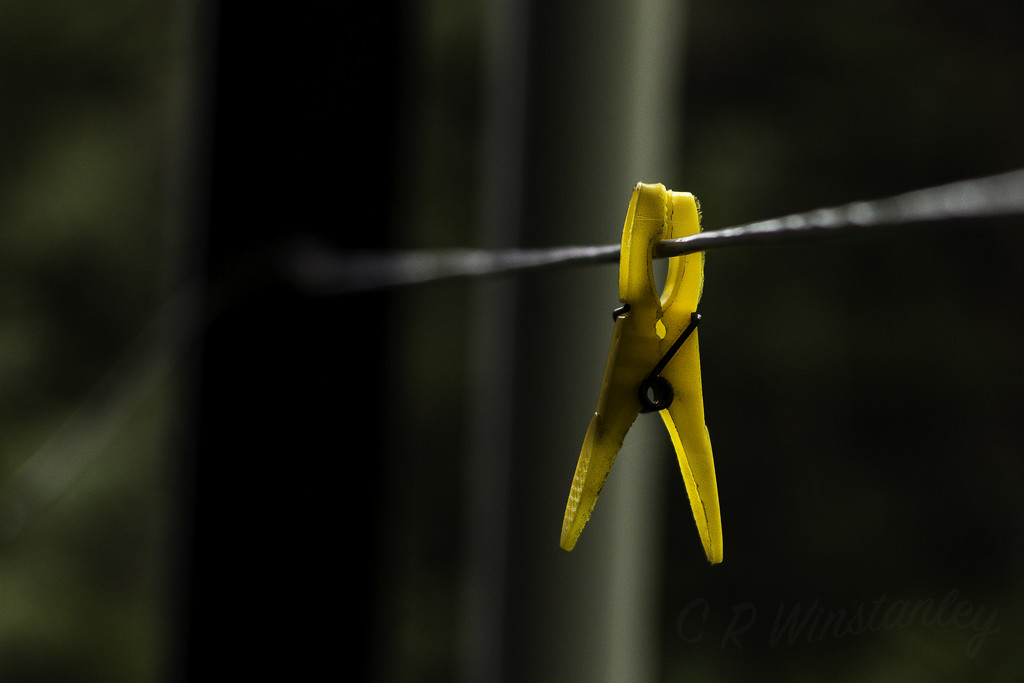 Hanging On by kipper1951