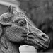 Horse Head by olivetreeann