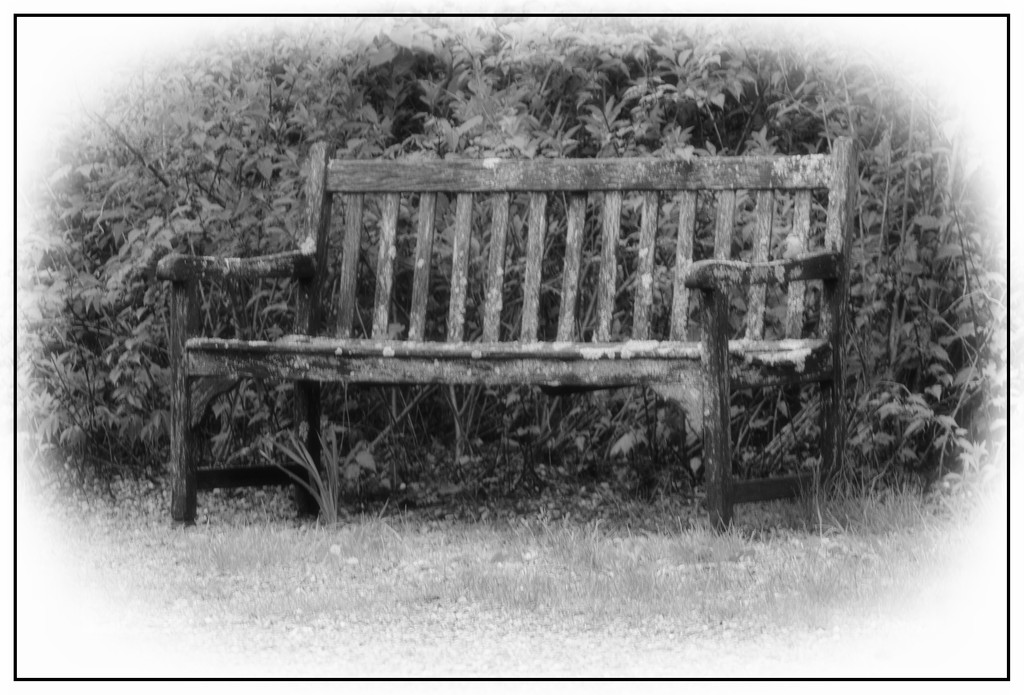 Nostalgic Bench, Hurdle Hill Farm by olivetreeann