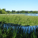Summer On Green Lake by seattlite