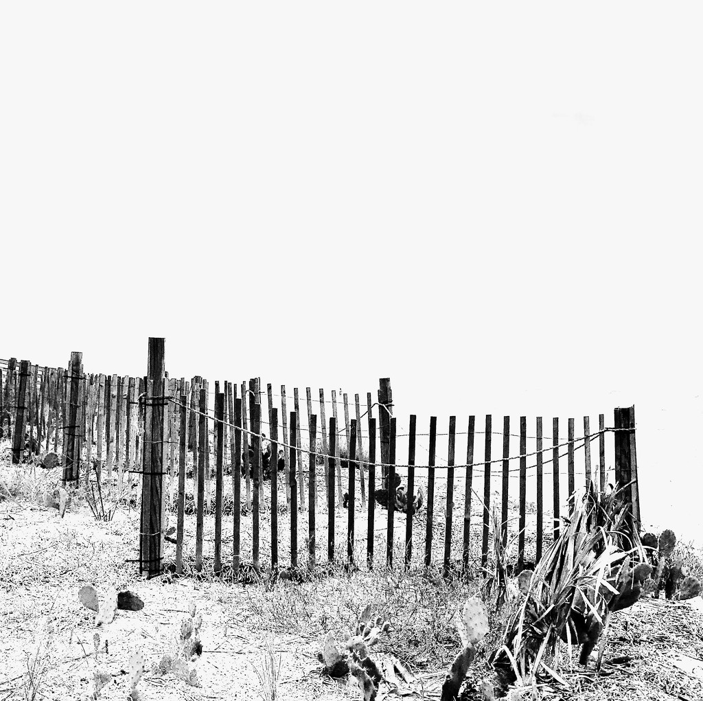 “Good fences make good neighbors”……seriously? by joemuli