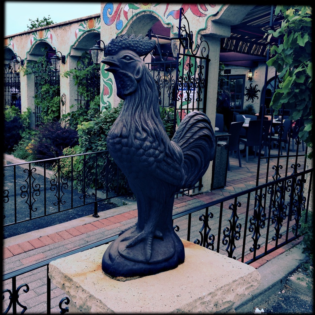 Roosters for Mexican Food by jeffjones
