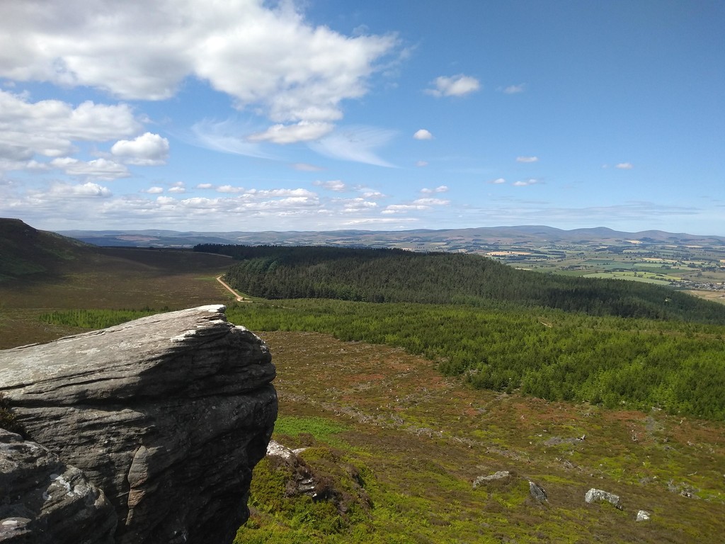 From Simonside by clairemharvey
