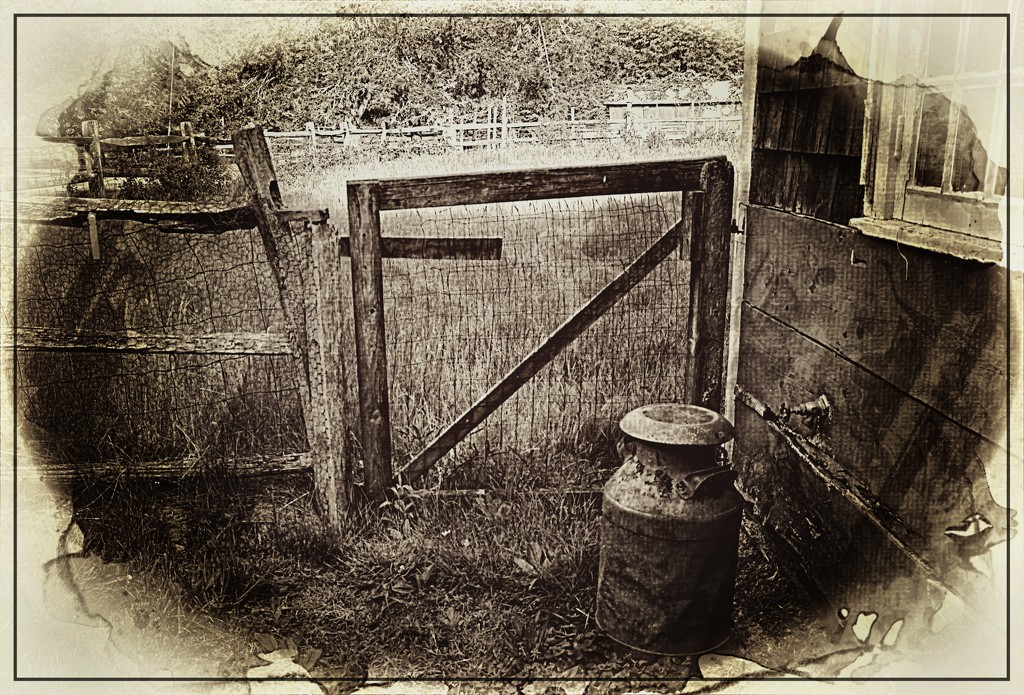 A Milk Can by the Gate by olivetreeann