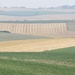 French farmland by lellie