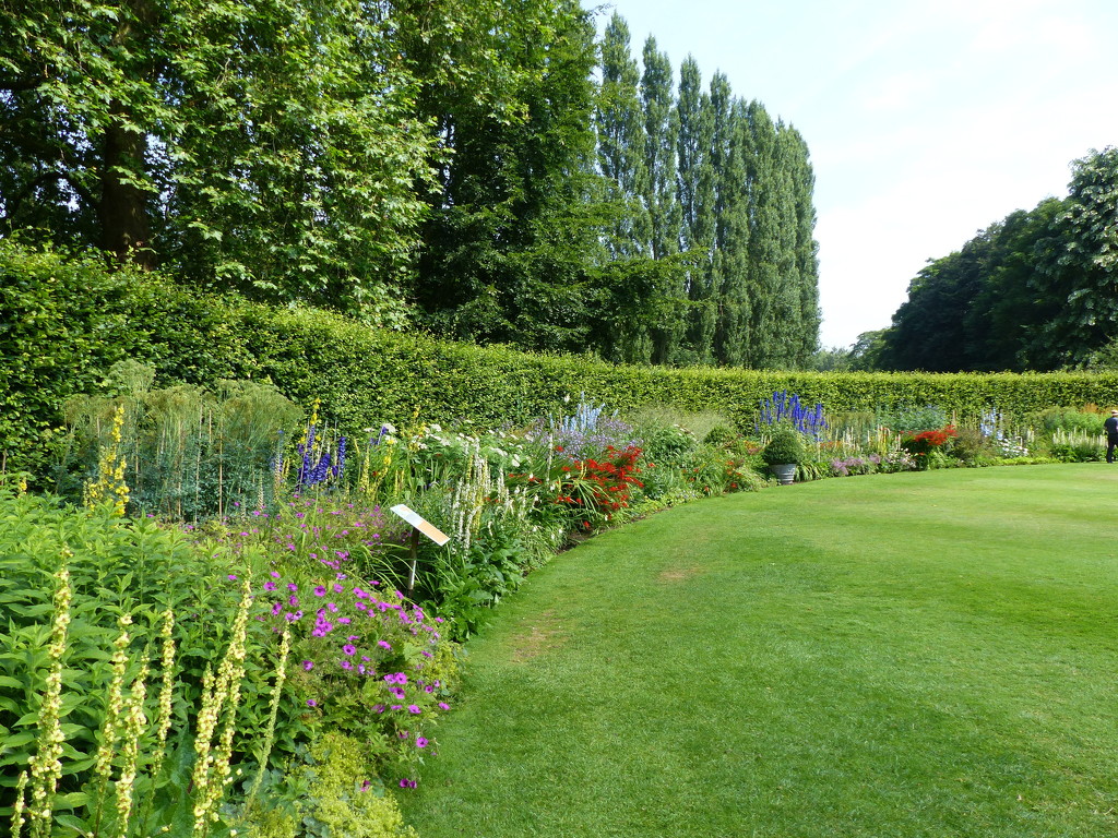Herbaceous Border  by foxes37