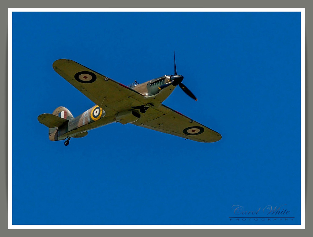 Hawker Hurricane by carolmw
