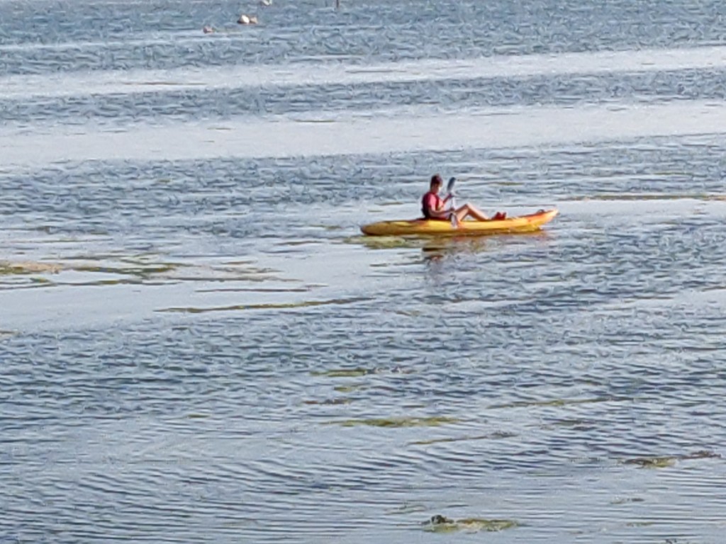 Canoeing in Chichester Harbour by jmdspeedy