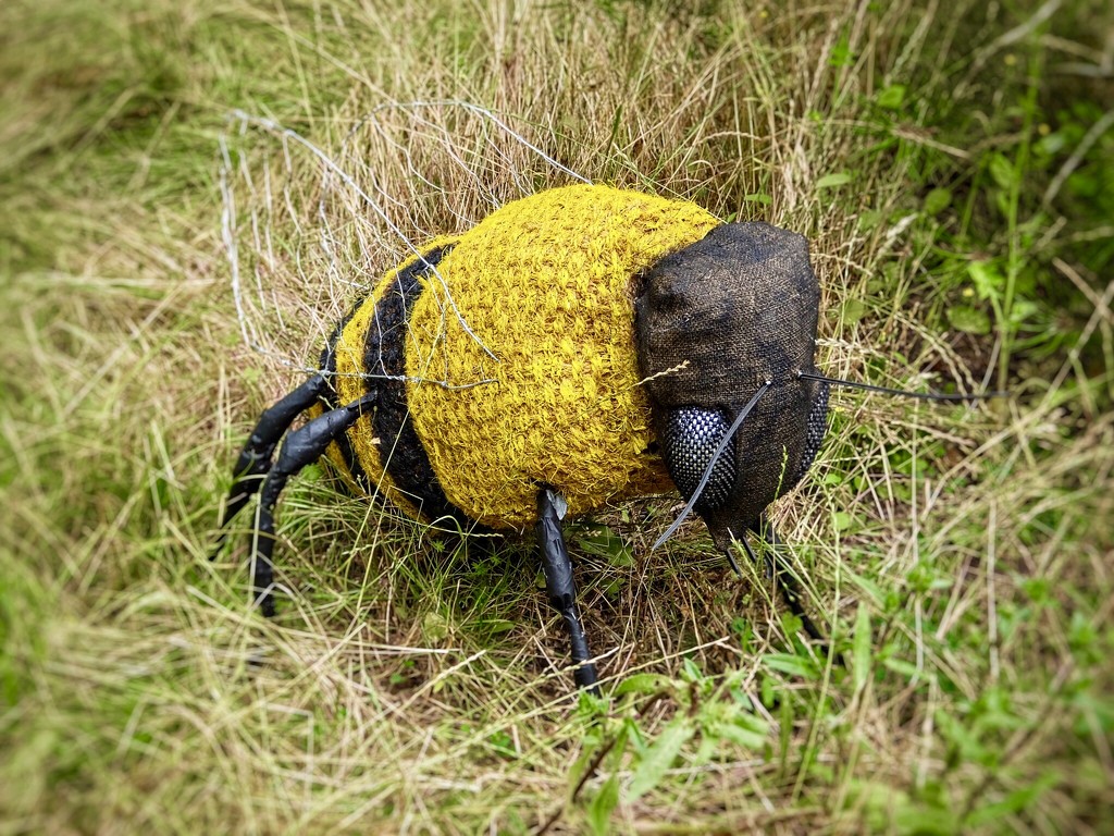 Bee by mattjcuk