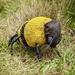 Bee by mattjcuk