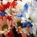 Red, white and blue flowers by homeschoolmom