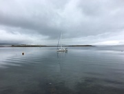 10th Jul 2018 - Looking out to sea from Stromness
