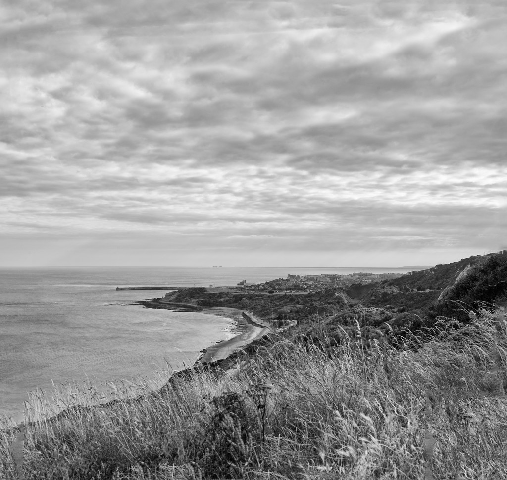 Clifftops at Capel by fbailey
