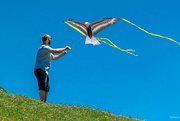 7th Jul 2018 - Let's go fly a kite
