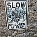 Slow Children at Play  by ajisaac