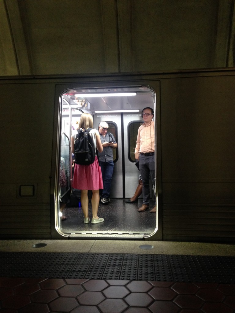 M on the Metro  by gratitudeyear