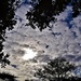 Sun Clouds & Silhouettes ~ by happysnaps