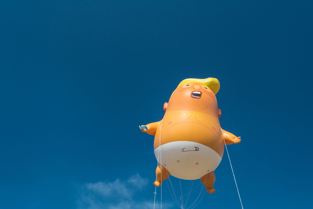 Trump Baby by rumpelstiltskin