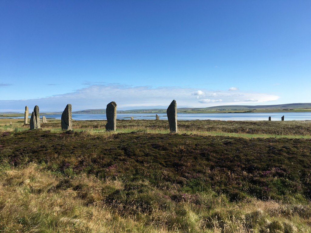 Ring of Brodgar, Orkney by 365projectmaxine