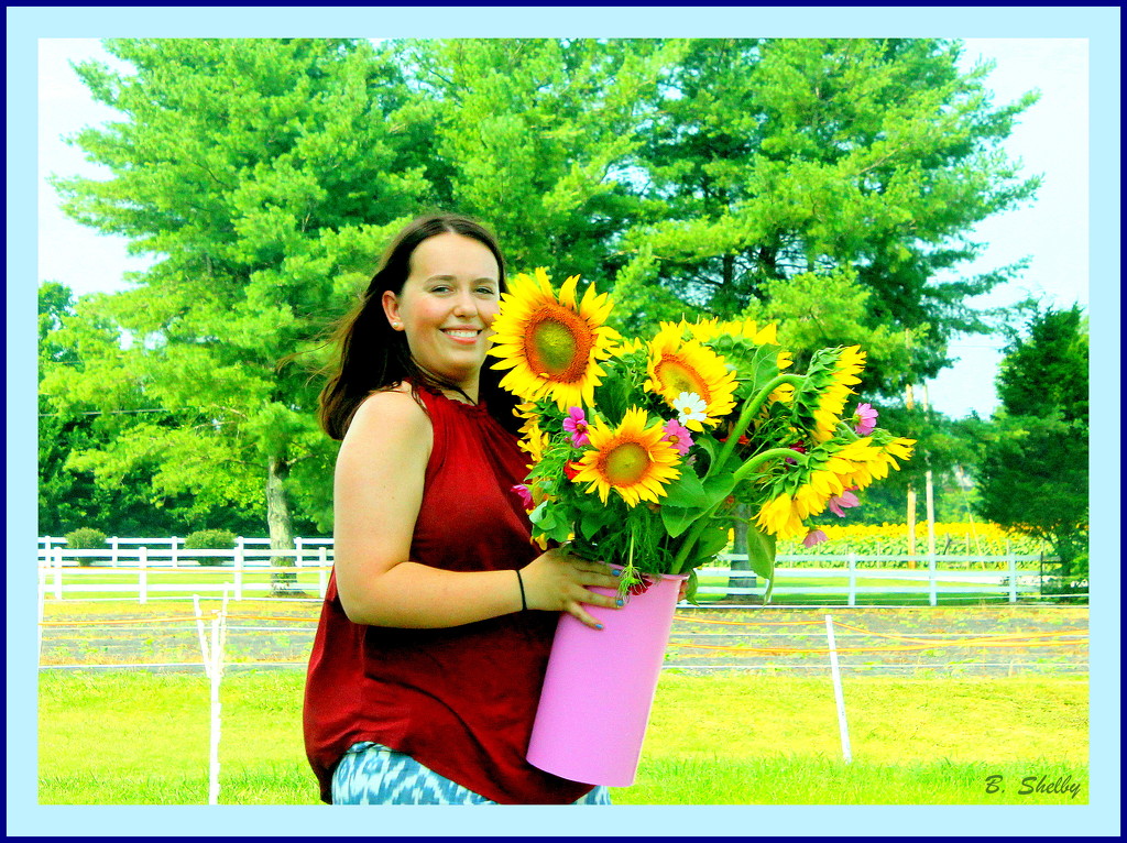 Sunflower Bouquet by vernabeth