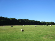 13th Jul 2018 - Field of Hay Bales