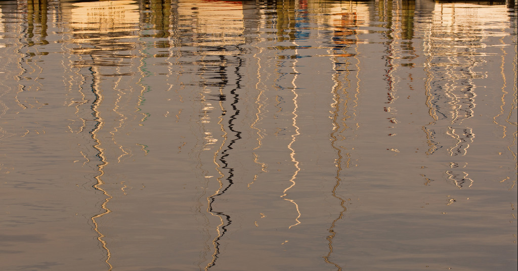 Sailboat Reflections at the Docks! by rickster549