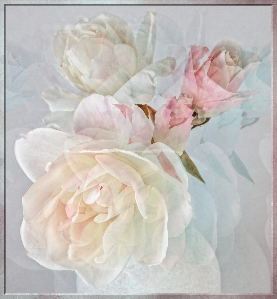 Roses in pastel by ludwigsdiana