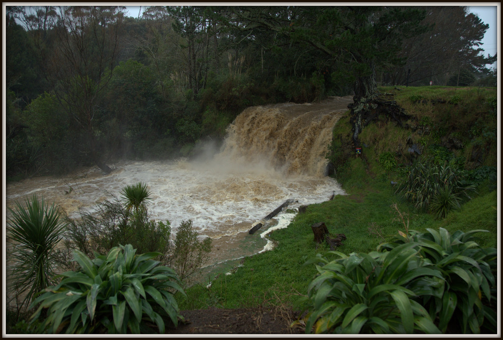 Waitangi Falls  by dide