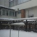 snow on our terrace  by zardz