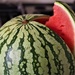 Watermelon by jacqbb