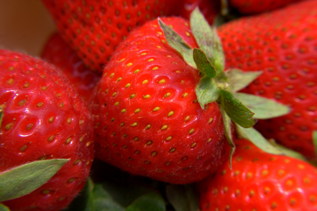 Day 302: Fresh Strawberries by sheilalorson