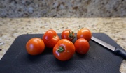 17th Jul 2018 - Really Fresh Tomatoes