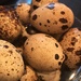 Day 303:  Quail Eggs by sheilalorson